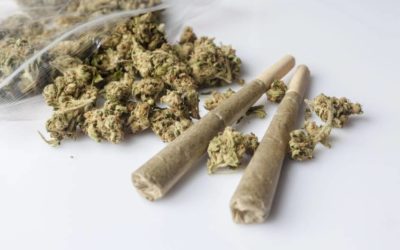 SJC takes up local control of marijuana licensing